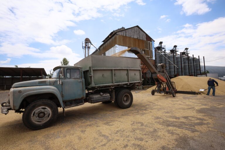 Afera zbożowa. Kto oszukiwał na zbożu z Ukrainy? 1