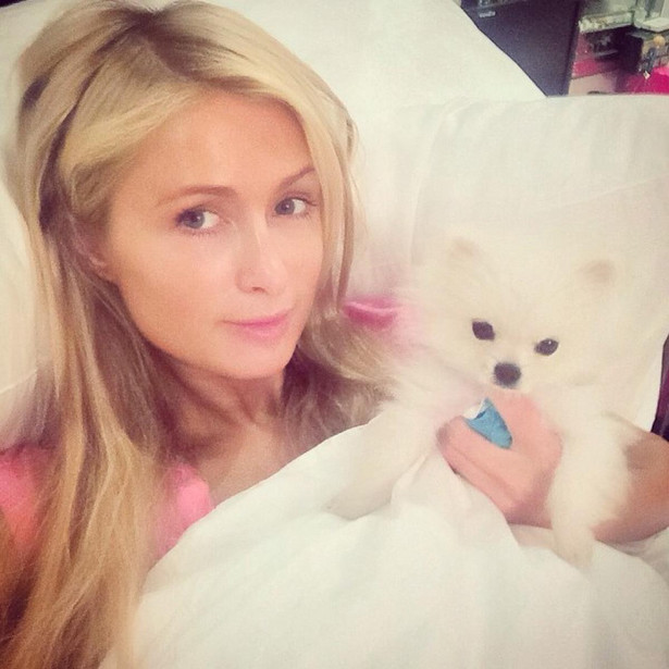 Paris Hilton pokazała syna. Posypały się niewybredne komentarze - INFBusiness