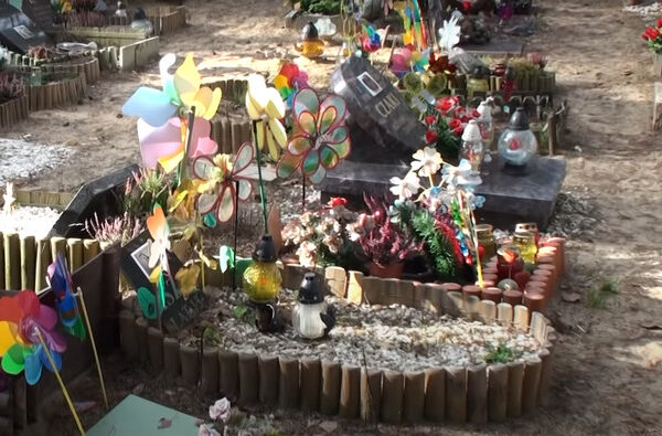 Gdzie trafiają zwierzęta po śmierci? Jedne na wysypisko, inne wracają&hellip;