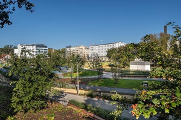 Park Centralny w Gdyni z posadzkami żywicznymi Deckshield na podziemnym parkingu - INFBusiness