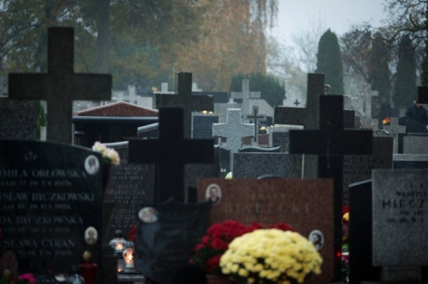 Krakowski Zarząd Cmentarzy Komunalnych ogłosił na licytację na miejsca pod budowę grobów murowanych /