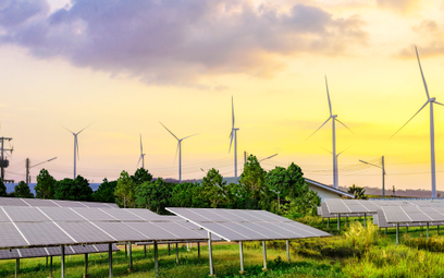 Zielona energia zostanie na dłużej u przedsiębiorców