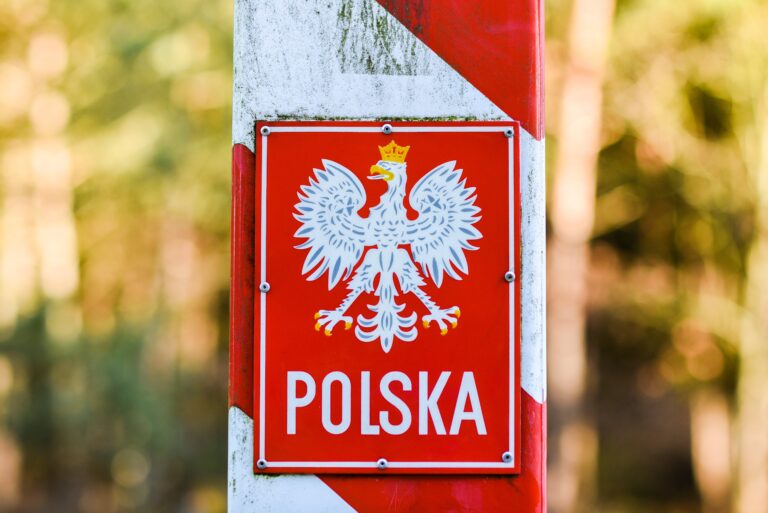 Przemyt nielegalnych migrantów do Polski. Jak wyglądają statystyki? - INFBusiness