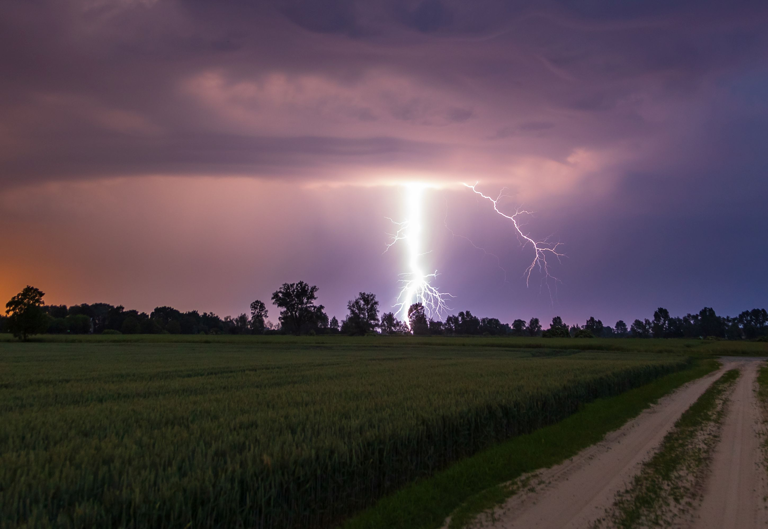 Pogoda w Polsce: IMGW ostrzega przed burzami. Gdzie obowiązują ostrzeżenia? - INFBusiness
