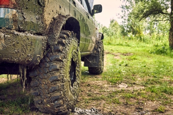 W ściśle określonych przypadkach wojsko może czasowo przejąć od właściciela jego auto, np. terenowe /123RF/PICSEL /123RF/PICSEL