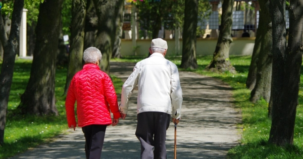 Ustawa o bonie senioralnym trafi do konsultacji społecznych w lipcu /Marek BAZAK/East News /East News