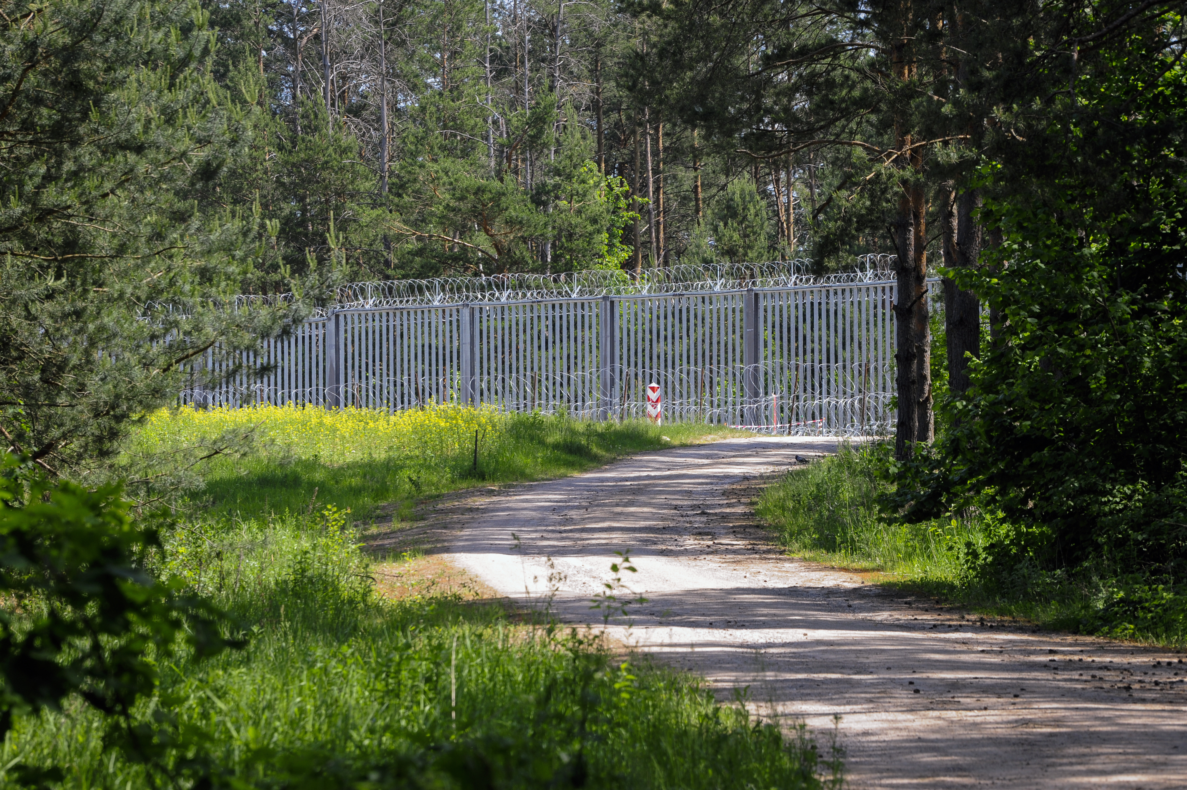 Przemyt ludzi wyhamował. Migrantom rzadziej udaje się przedostać od strony Białorusi - INFBusiness