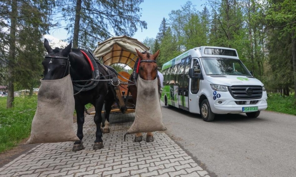 Znamy wyniki testów busa na trasie do Morskiego Oka