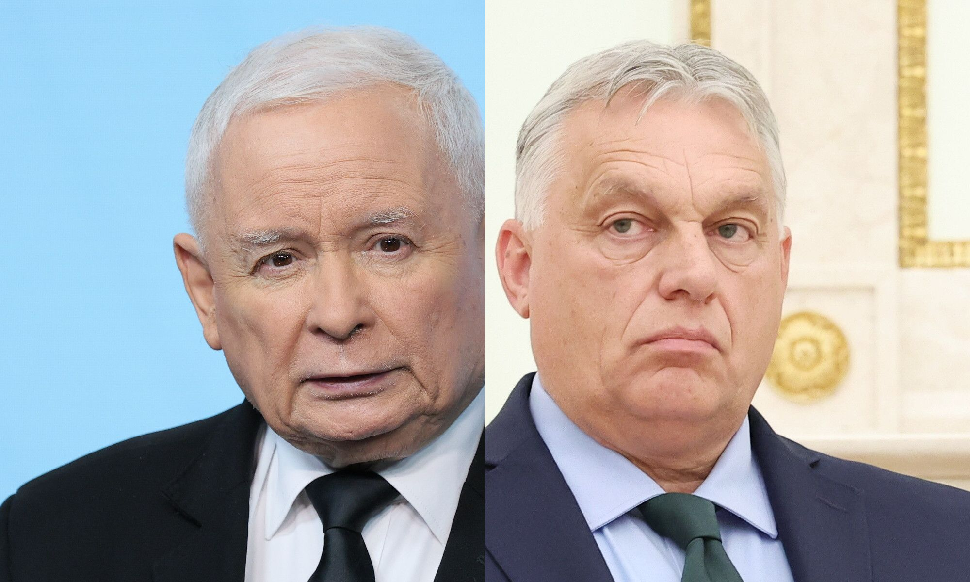 Viktor Orbán rozmawia z Putinem w Rosji. Jarosław Kaczyński komentuje wizytę - INFBusiness