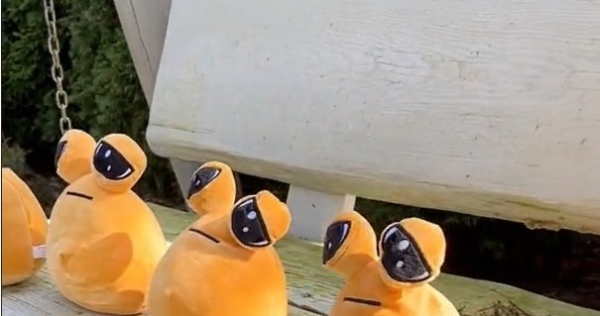 /poupluszak / TikTok /