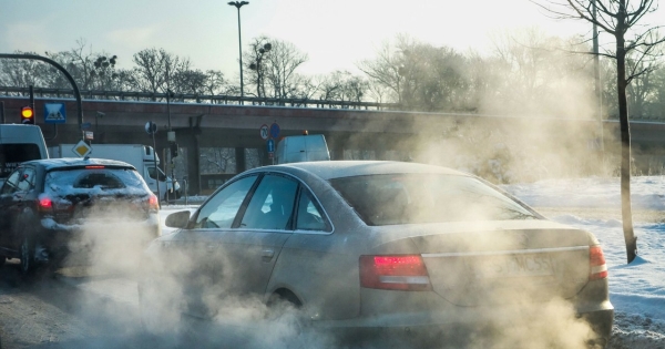 "Chińskie samochody elektryczne są tańsze od tych europejskich. Wpuszczając je na nasz rynek przyspieszymy śmierć samochodu spalinowego. Czy uratujemy planetę? Możemy się łudzić" /Piotr Kamionka /Reporter