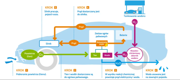 Wodór nada kierunek polskiej transformacji energetycznej? Odkrywamy karty - INFBusiness