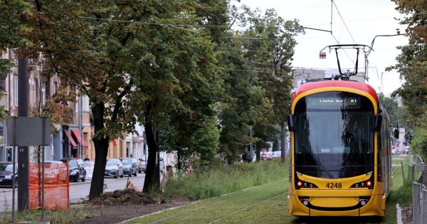 Eko tory w Warszawie pokryte są trawą, mchem, pachnącym oregano czy bylinami /Piotr Molecki/East News /East News