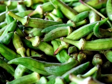 Okra