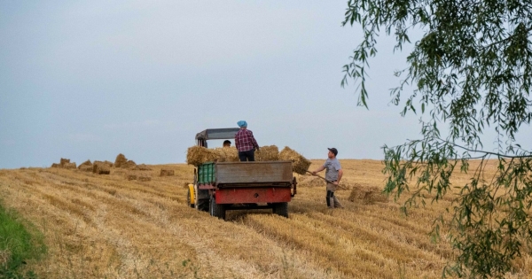 ARiMR kontroluje rolników. Oto, co sprawdzają /Tadeusz Koniarz /Reporter