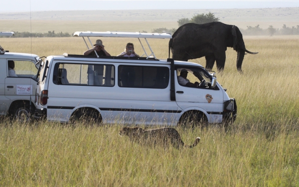 Podglądanie zwierząt w parku narodowym Masai Mara