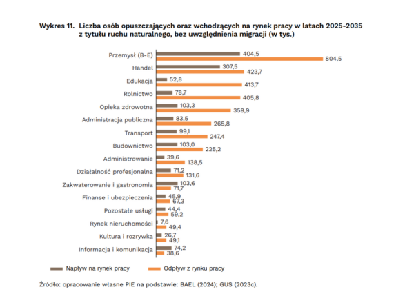 Zapaść demograficzna w Polsce a rynek pracy. Analitycy nie mają dobrych wieści - INFBusiness