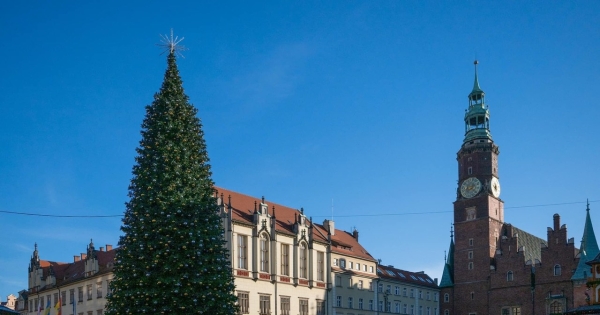 Bajońskie sumy za miejskie choinki. Kwoty liczone w milionach - INFBusiness