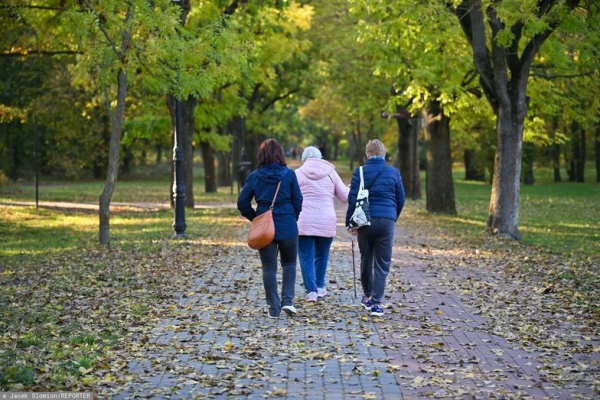 Dostają się do sanatorium za darmo. Wystarczy jeden wniosek - INFBusiness