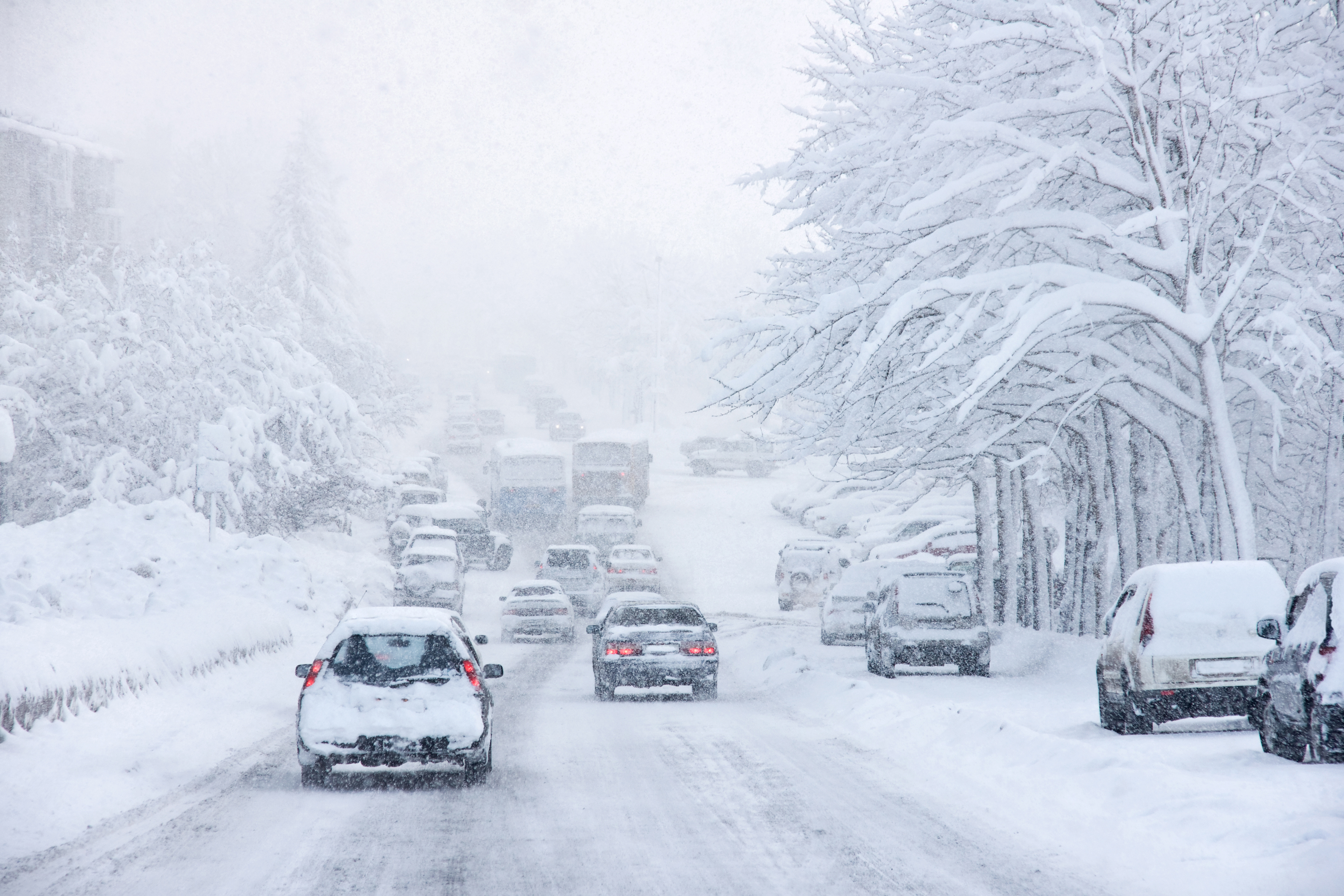 Najnowsza pogoda na weekend: Nawet 20 cm śniegu. IMGW ostrzega przed intensywnymi opadami - INFBusiness