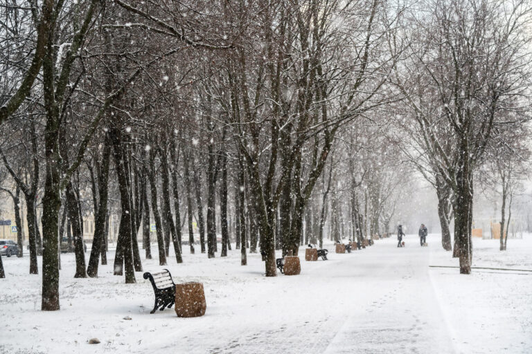 Prognoza pogody IMGW na luty. Prawdziwa zima w końcu nadejdzie? - INFBusiness