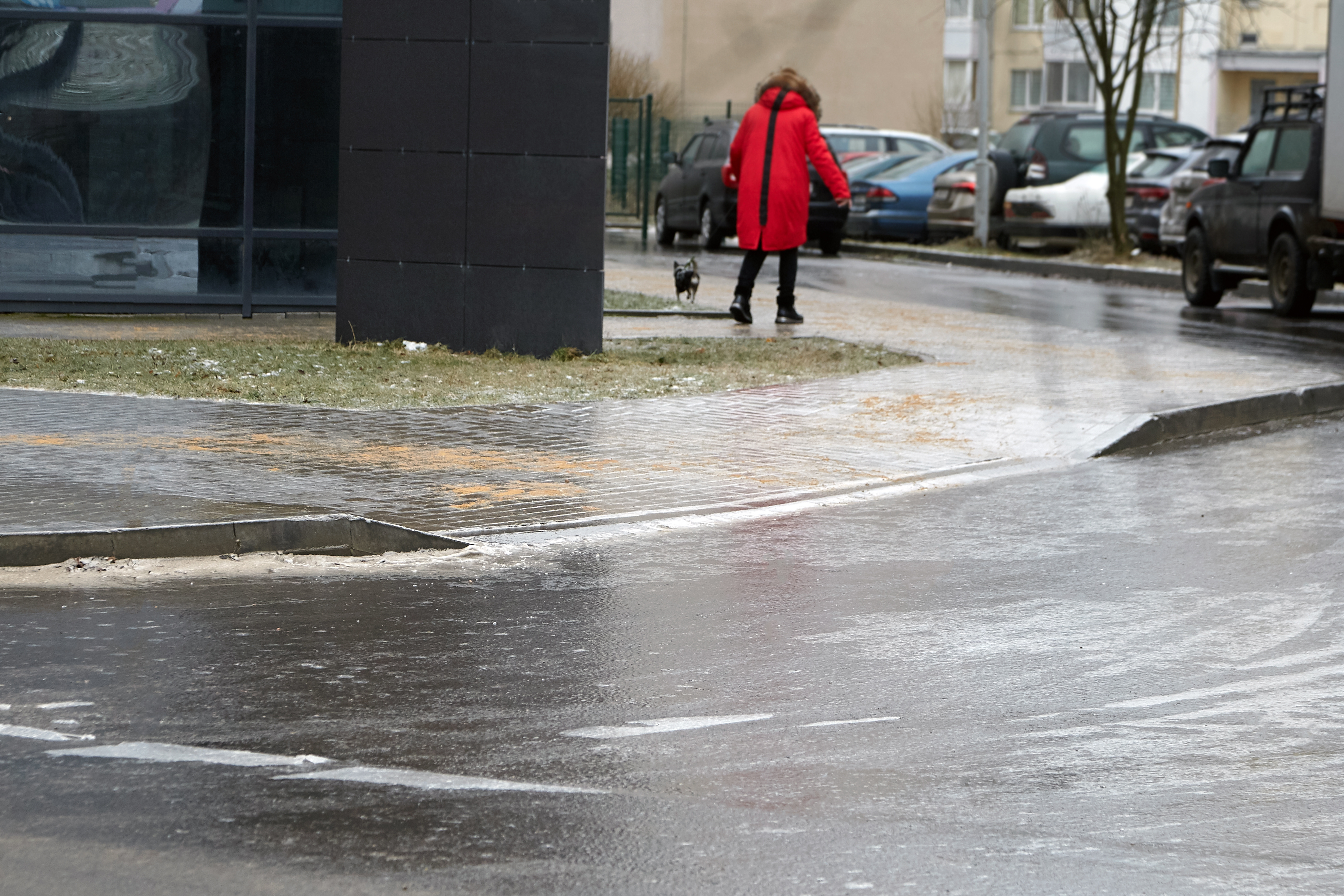 Nowa prognoza pogody na dziś i jutro: Gołoledź i marznący deszcz. Alerty IMGW i RCB - INFBusiness