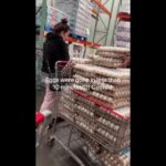 Ciasto czekoladowe z Costco pochłonięte przez oposa: „Każda z nas przez to przeszła, dziewczyno”