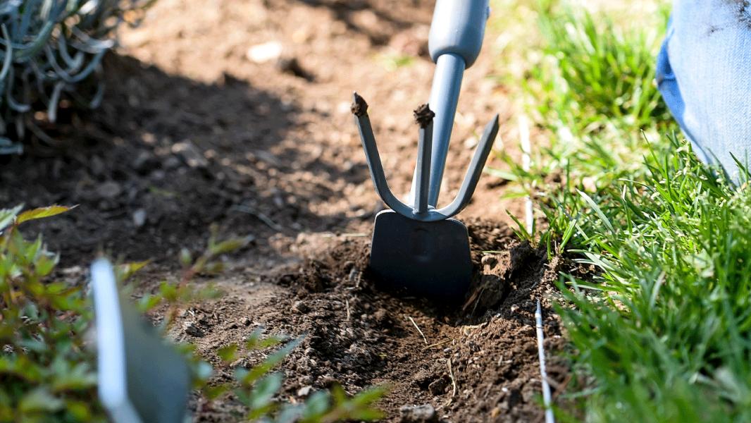 Kobieta z Florydy rzekomo zaatakowała mężczyznę narzędziem ogrodniczym po tym, jak odwołał plany - INFBusiness