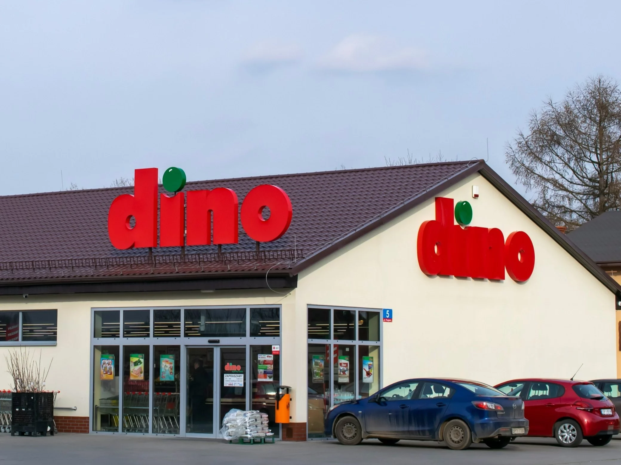 Dino