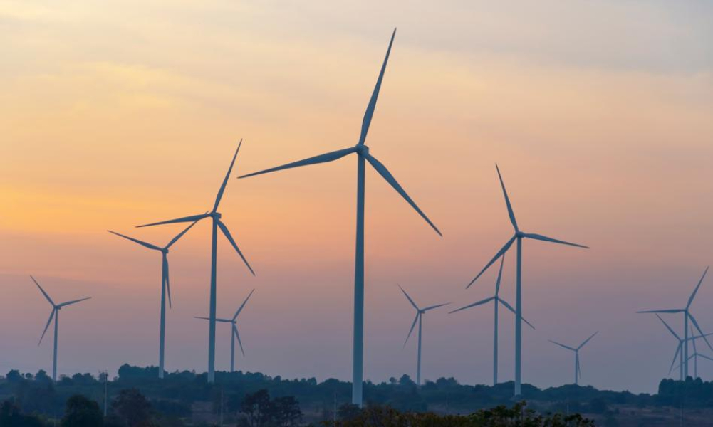 Oczekiwano, że przyniesie ogromne zyski, a straty sięgają setek milionów euro. Natura nie zawarła porozumienia ze Szwedami