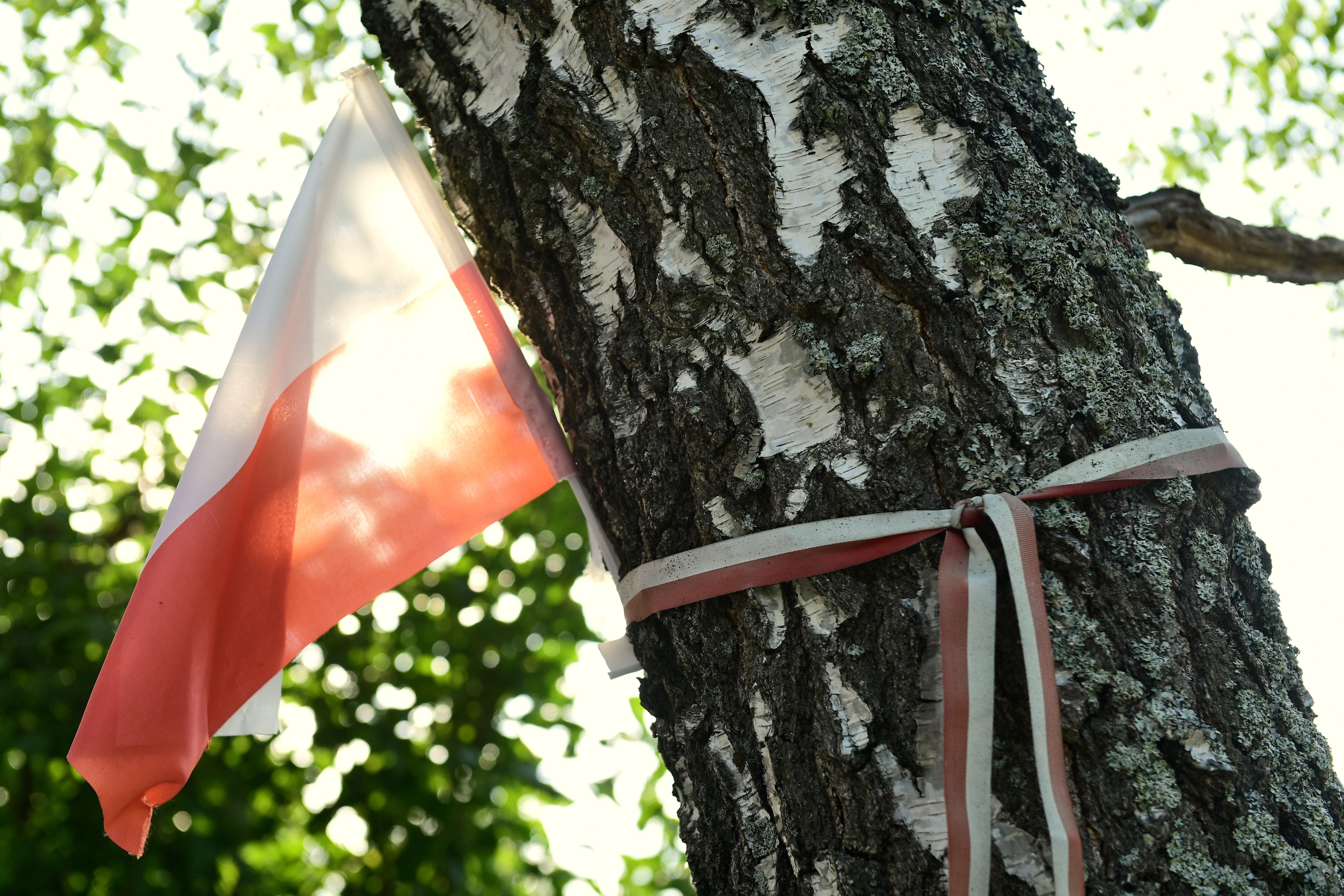 Smoleńsk: Rosjanie próbowali zakłócić obchody 15. rocznicy katastrofy Tu-154M - INFBusiness