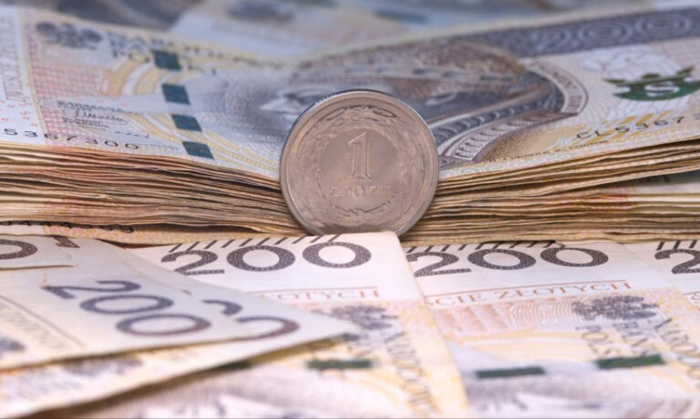 Kurs euro gwałtownie wzrósł. Złoty nie jest zadowolony z zawieszenia broni celnej - INFBusiness