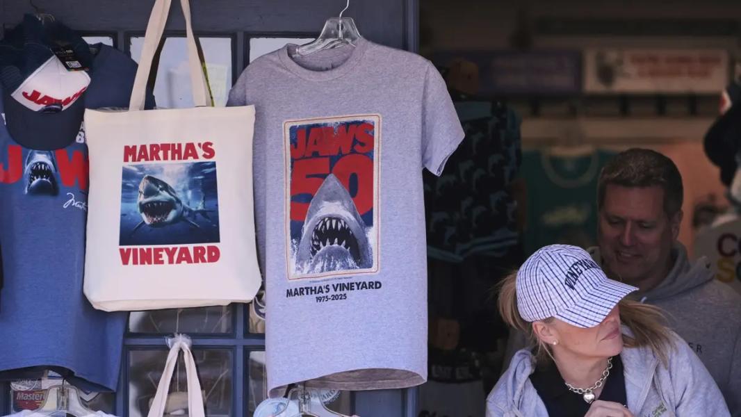 Pływak wytrzymałościowy okrąży wyspę Martha's Vineyard w lodowatych wodach, aby chronić rekiny - INFBusiness