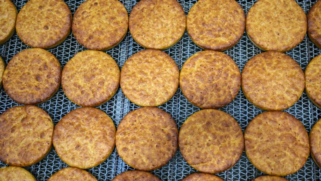 Spalony i zakopany chleb z epoki brązu znaleziony w Turcji, obecnie odtwarzany przez piekarzy - INFBusiness