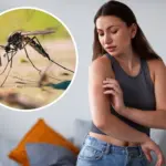 Czy gryzą Cię komary? Ekspert: To przez dwa produkty w Twojej diecie