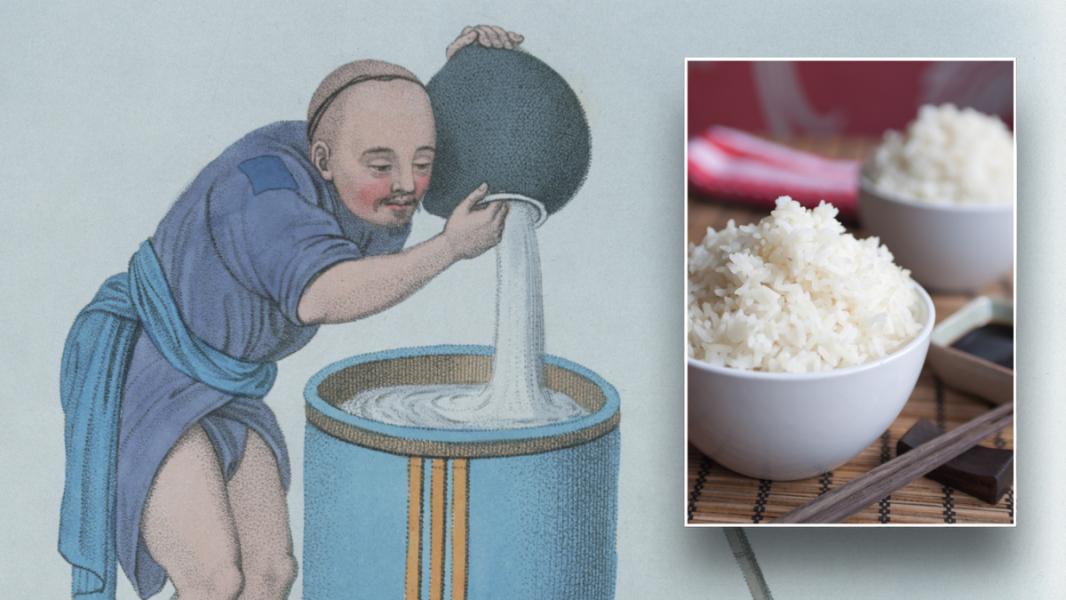 Starożytny przepis na ryż odtworzony przez chińskich badaczy z 2000-letniego manuskryptu - INFBusiness