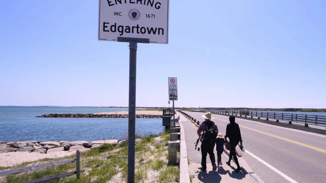 Pływak wytrzymałościowy okrąży wyspę Martha's Vineyard w lodowatych wodach, aby chronić rekiny - INFBusiness