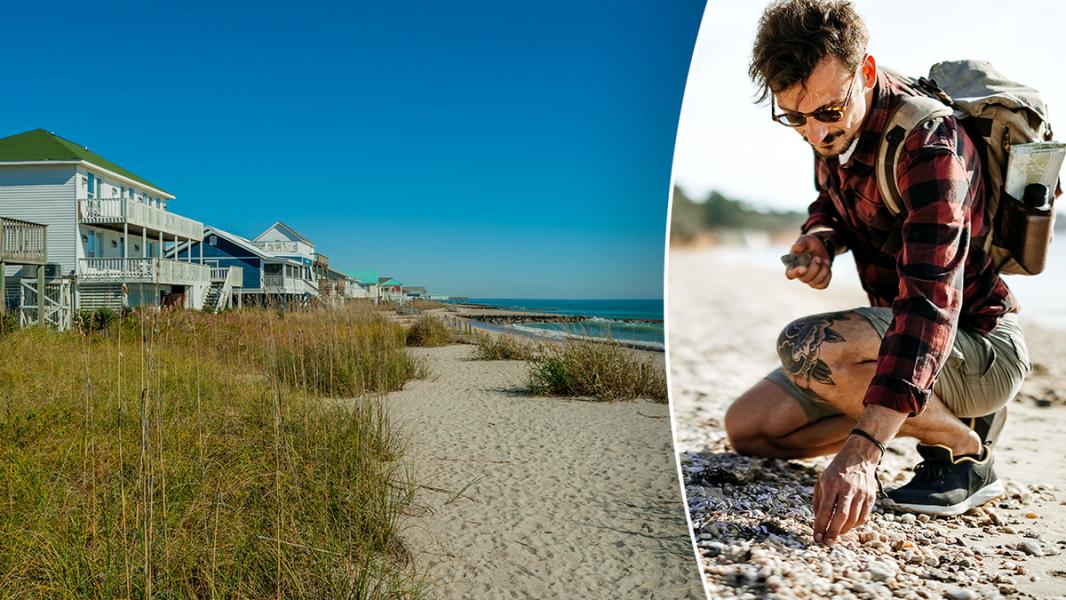 Turyści odkryli plażę Edingsville na wyspie Edisto w Karolinie Południowej - INFBusiness