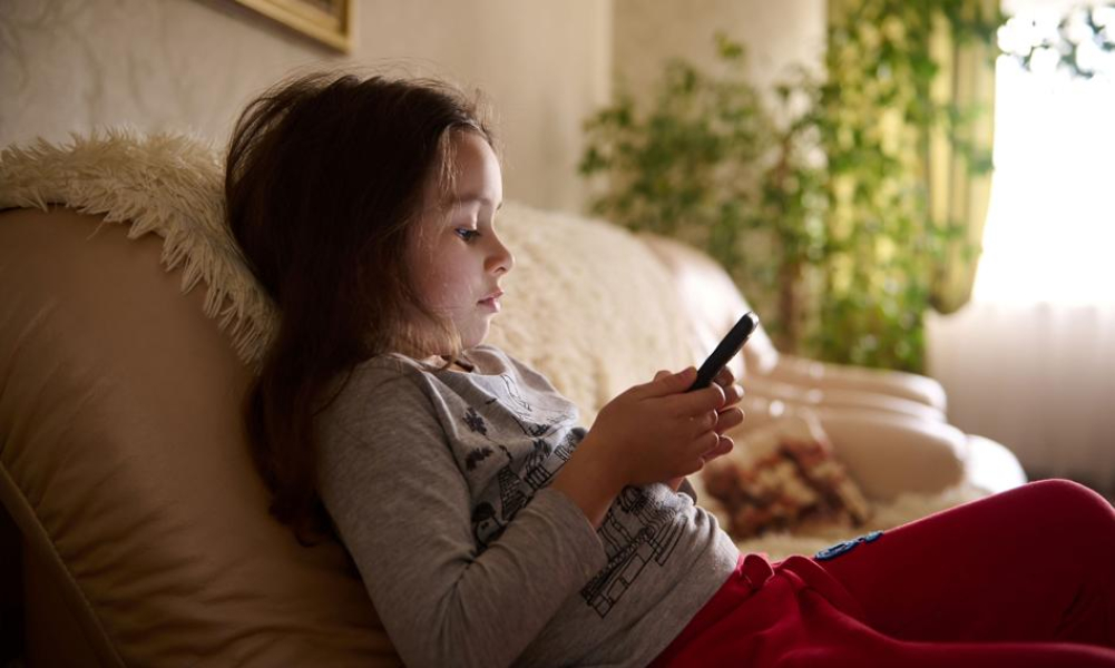 Obowiązkowa weryfikacja wieku w internecie? MC wypowiada się na temat planów UE