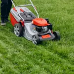 Gdzie wyrzucać skoszoną trawę? Sprawdź, co mówią przepisy
