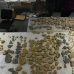 Rzymski cesarz Kaligula miał zaskakującą wiedzę na temat roślin leczniczych, twierdzą badania