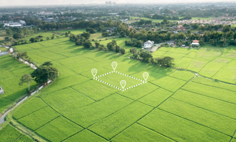Co to jest mapa zasadnicza działki i jak ją uzyskać? | Otodom - INFBusiness