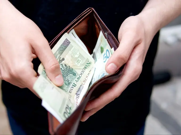 Polacy ocenili swoje pensje. Przygnębiające dane - INFBusiness