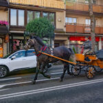 „Stwórz robota-konia albo robota-misia”. Nietypowa petycja do burmistrza miasta Zakopane