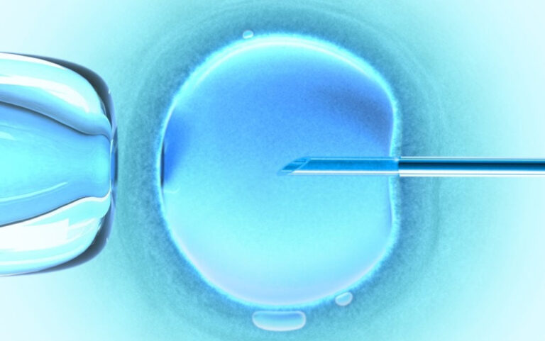 Urodziły się dzieci z DNA trzech osób. „Nowa nadzieja” medycyny? - INFBusiness