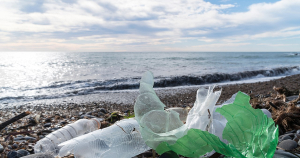 W Indiach przybywa Śmieciowych Kawiarni. Opłatą za posiłek są tam plastikowe śmieci /123RF/PICSEL