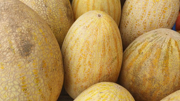 Tych 3 produktów absolutnie nie należy łączyć z melonem: spożywanie ich może skończyć się pobytem w szpitalu. - INFBusiness