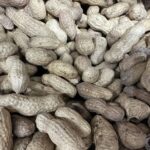 Nie można pić piwa z orzeszkami ziemnymi: gastroenterolog ujawnił szkodliwość tej klasycznej przekąski.