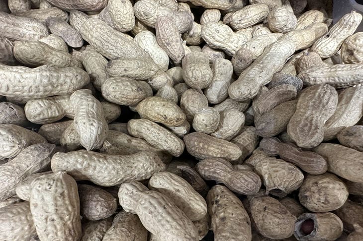 Nie można pić piwa z orzeszkami ziemnymi: gastroenterolog ujawnił szkodliwość tej klasycznej przekąski. - INFBusiness