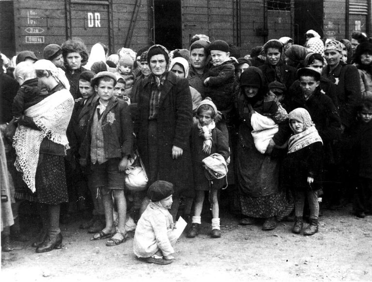 Oddział Muzeum Historycznego Polski poświęcony Polakom ratującym Żydów został zamrożony. - INFBusiness